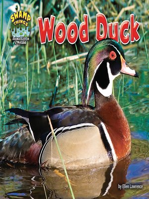cover image of Wood Duck